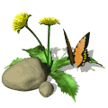 gifinse33.gif (9779 bytes)