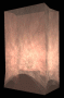 gifllum06.gif (20569 bytes)