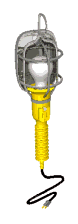 gifllum15.gif (13355 bytes)