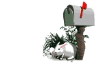 gifmail20.gif (23437 bytes)