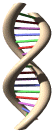 gifmedic01.gif (35913 bytes)