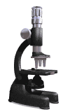 gifmedic27.gif (8540 bytes)