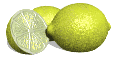 gifmenjar30.gif (11440 bytes)