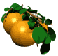 gifmenjar35.gif (9657 bytes)