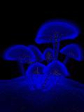 gifmenjar56.gif (18754 bytes)