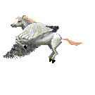 gifmitol32.gif (10051 bytes)