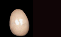 gifmitol33.gif (112960 bytes)