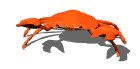 gifmol05.gif (10893 bytes)