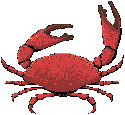 gifmol06.gif (3339 bytes)