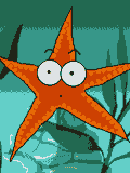 gifmol08.gif (11685 bytes)