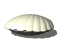 gifmol11.gif (14806 bytes)