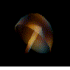 gifmol13.gif (40491 bytes)