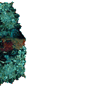 gifmol14.gif (34934 bytes)