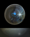 gifmontec01.gif (20731 bytes)