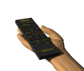 gifmontec09.gif (10875 bytes)