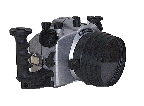 gifmontec23.gif (44927 bytes)