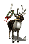 gifnadal53.gif (18941 bytes)
