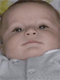 gifnen2.gif (9356 bytes)
