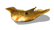gifpeix03.gif (28725 bytes)