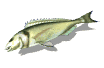 gifpeix07.gif (11485 bytes)
