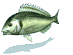 gifpeix09.gif (18153 bytes)