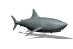 gifpeix22.gif (13114 bytes)