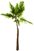 gifplanta02.gif (6466 bytes)