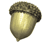 gifplanta11.gif (14247 bytes)