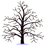 gifplanta15.gif (27146 bytes)