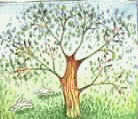 gifplanta16.gif (43085 bytes)
