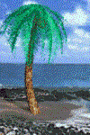 gifplanta21.gif (58052 bytes)