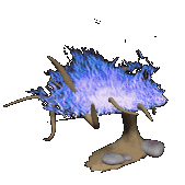 gifrelig42.gif (47004 bytes)