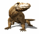 gifrep07.gif (13240 bytes)