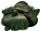 gifrep12.gif (13661 bytes)