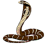gifrep19.gif (42058 bytes)