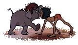 gifselva06.gif (7572 bytes)