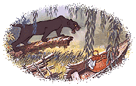 gifselva10.gif (12844 bytes)