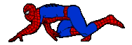 gifspider17.gif (21654 bytes)