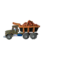 giftransport30.gif (46148 bytes)
