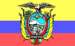 Bandera oficial del pas