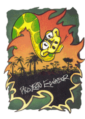 Samarreta del Projecte Equador '99