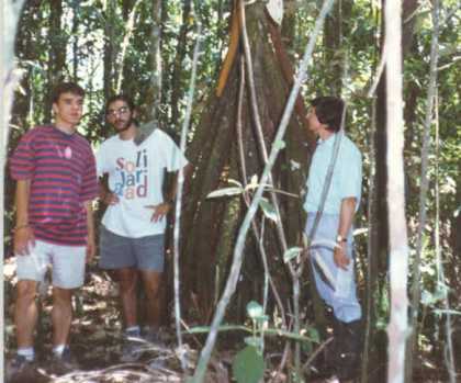 Una petita mostra del que s la selva