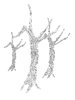 els arbres de la frase