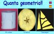 Quanta geometria