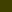 COLOR: #404000
