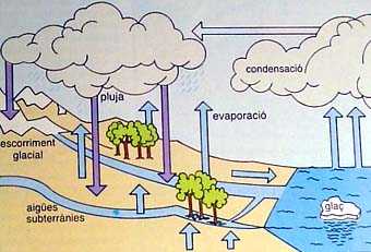 CICLE DE AIGUA