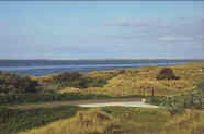texeldun.jpg (3354 bytes)