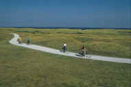 vlieland.jpg (2930 bytes)