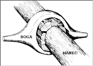 Tornar enrera