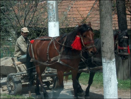 Tpic mitj de transport